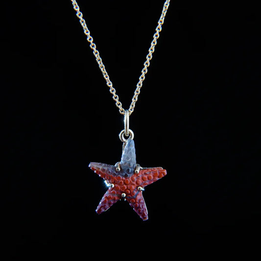015 Starfish KY Agate Pendant set in 14K Gold