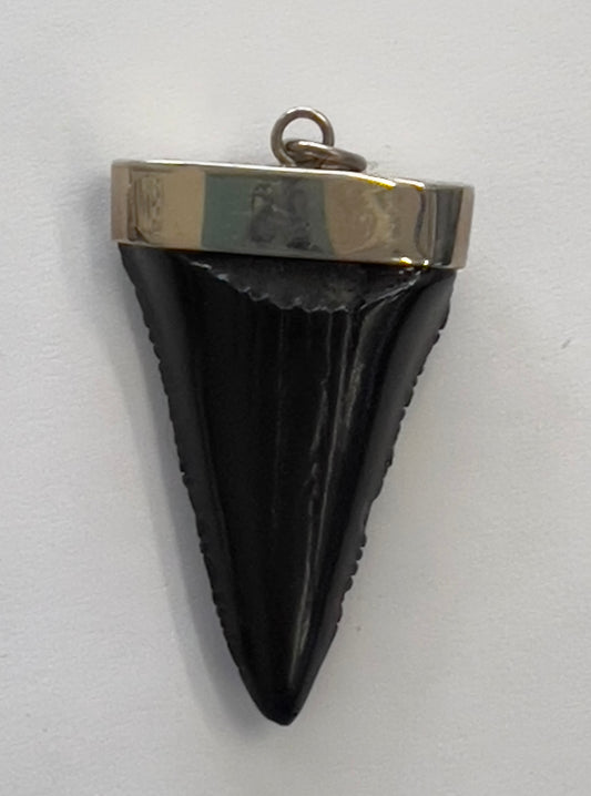 7101 Megalodon Shark Tooth Pendant