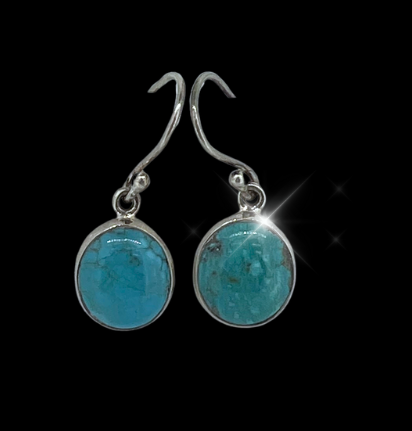 204 Turquoise Earrings Round